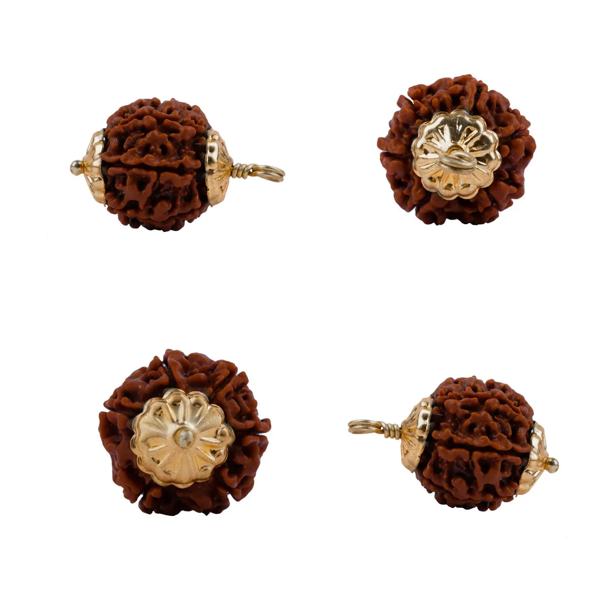 6 Face Rudraksha Pendant | Gold Cup Rudraksha Pendant/ Nepali Rudraksh Locket for Men & Women
