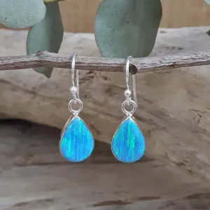 Flinder Turquoise Renoir Drop Earrings