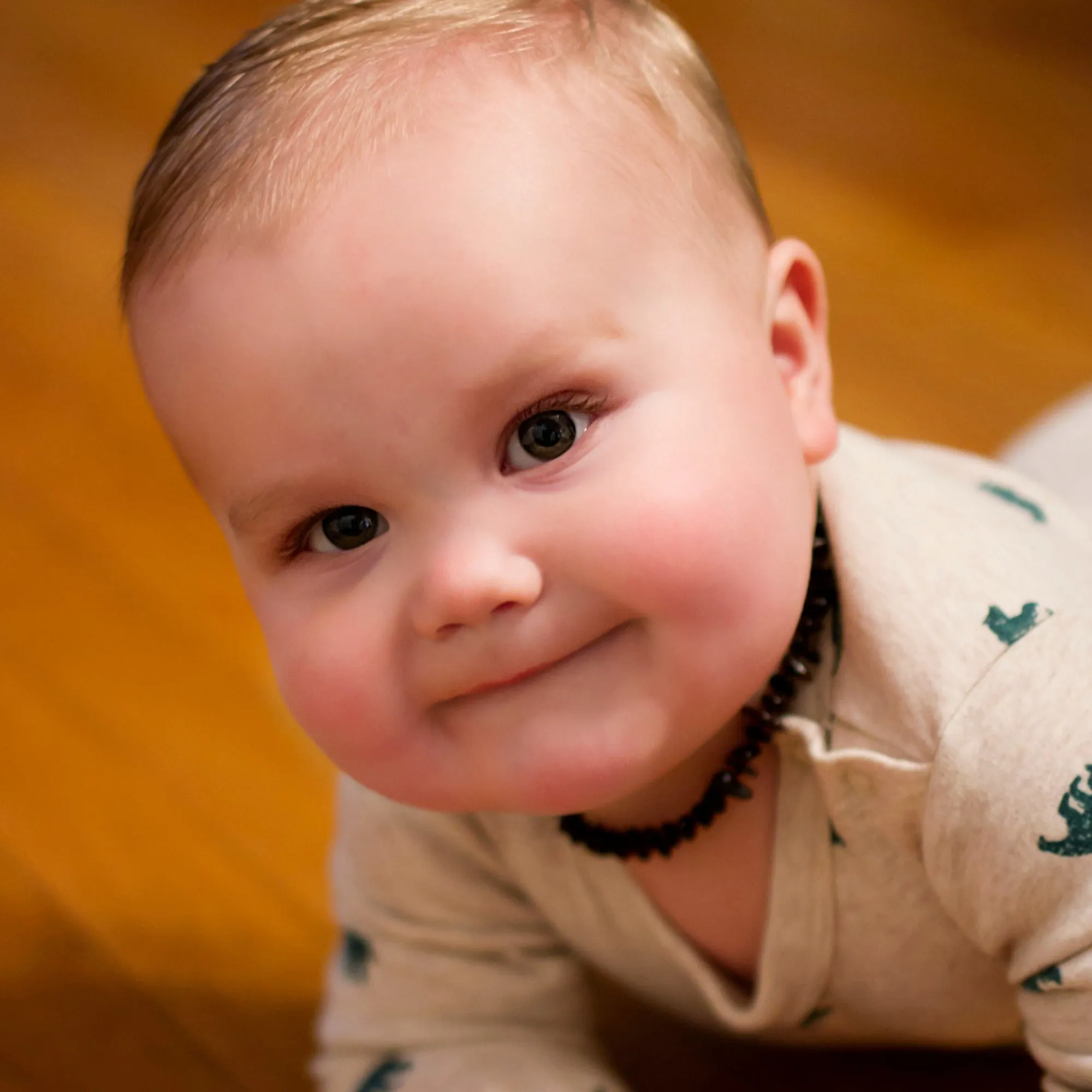 Kids | Cherry Chip Baltic Amber Necklace