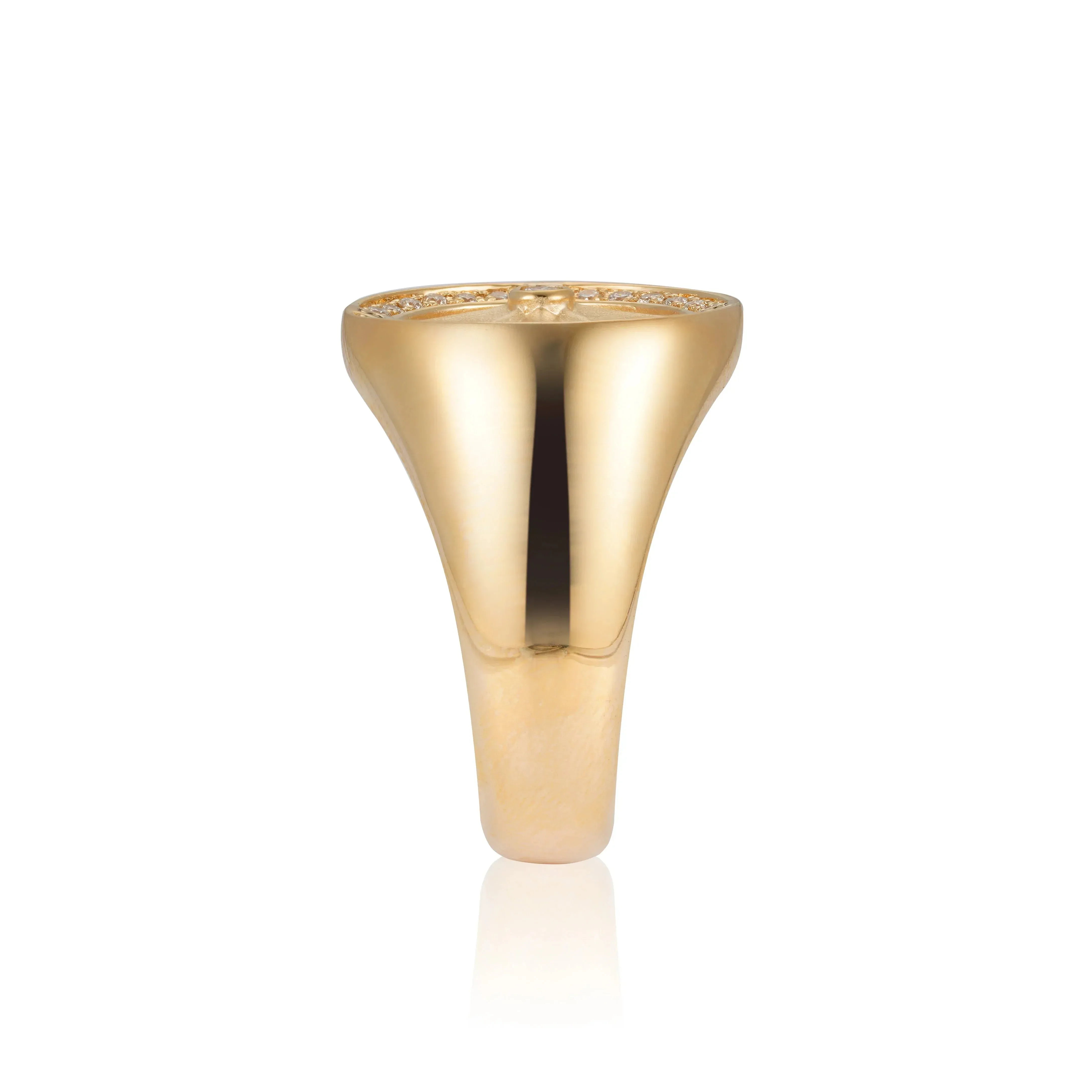 Orchid Gems Navigator Diamond Signet Ring